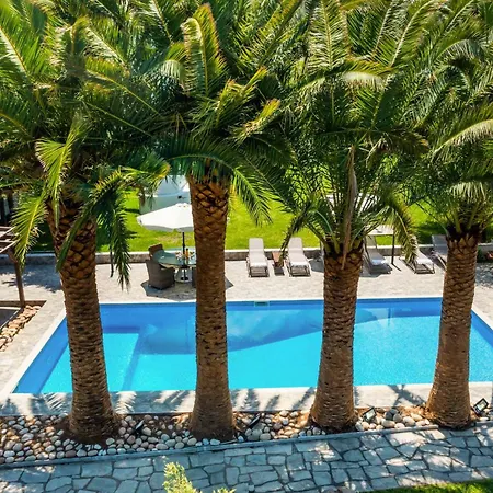 Albero Villa Polychrono