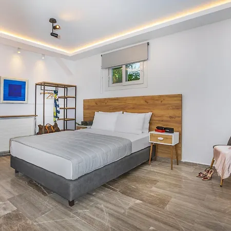 Albero * بوليخرونو