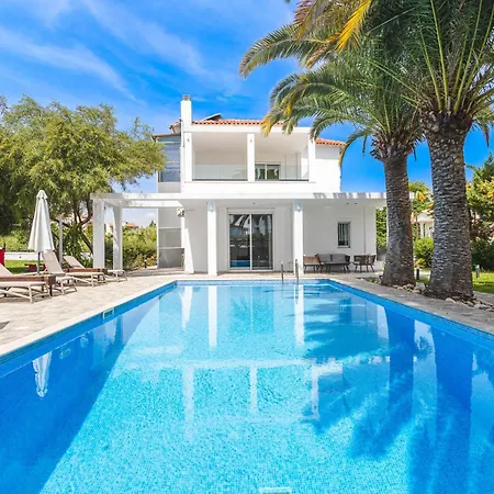 Albero بوليخرونو