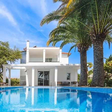 Albero * بوليخرونو