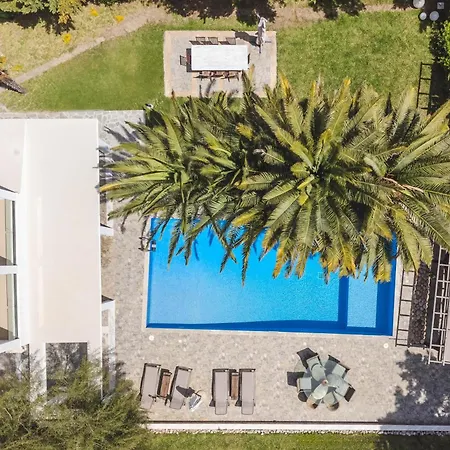 Albero بوليخرونو