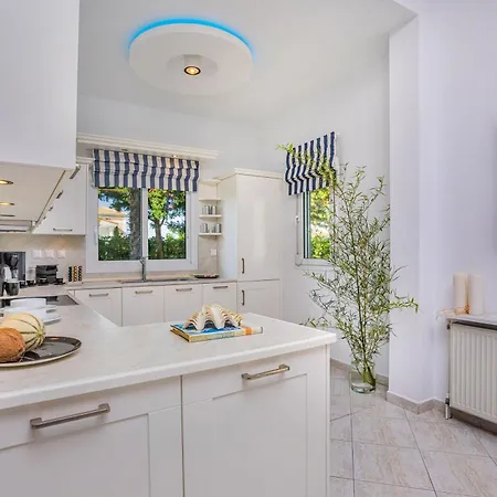 Albero فيلة بوليخرونو