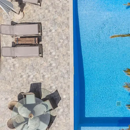 Albero فيلة بوليخرونو